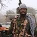 Boko Haram Affects Fight Against Malaria In Adamawa