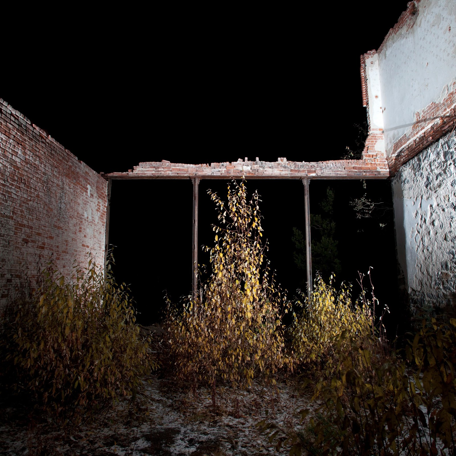 MSU Photography: Altered Architecture