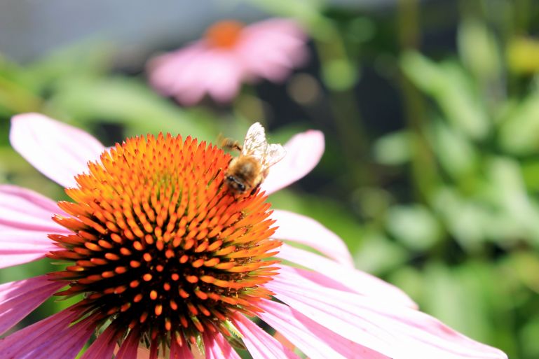 Schonen Feiertag Euch Allen Imgur