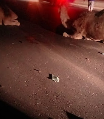 بسبب الجمال .. حادث مروع على طريق العين السخنة (فيديو لايف) بسبب الجمال .. حادث مروع على طريق العين السخنة (فيديو لايف)