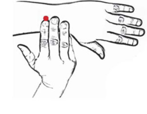 Drawing of two hands, one underneath the other. The index finger on the right hand, touches a acupoint (highlighted in Red) | Kerry Loeb Self-Massage & Health Trainings