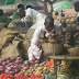 'Yobe can feed 40% of Nigerians'