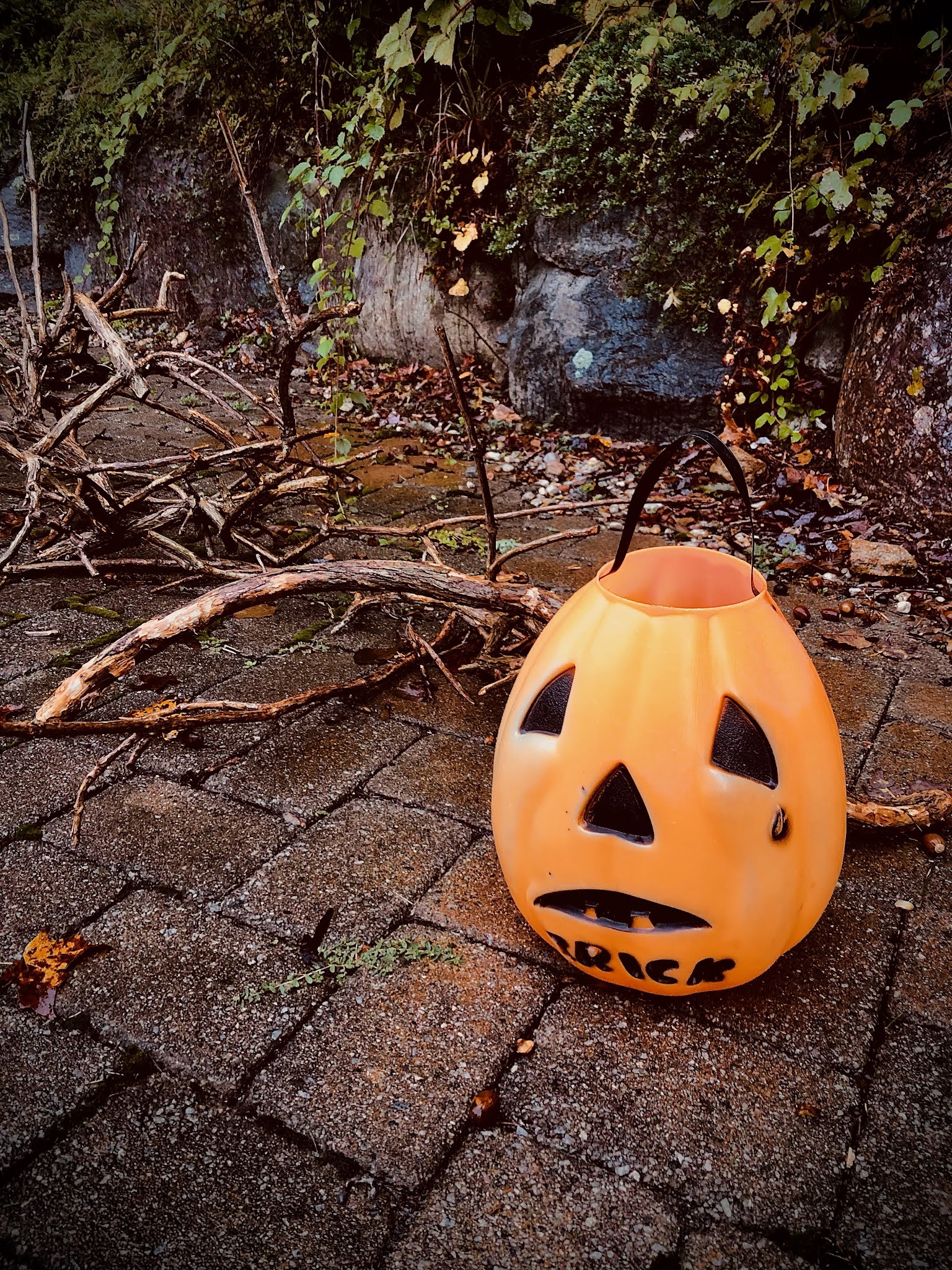 Halloween 1993 Not As Much Fun As Hocus Pocus Made It Look//October