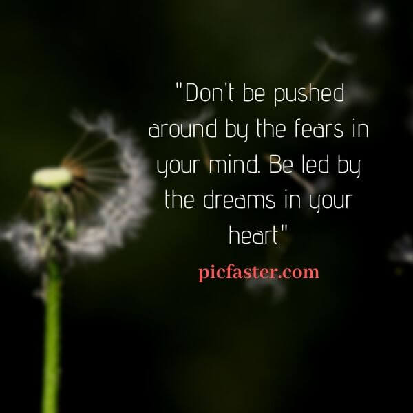 Latest - Whatsapp Profile Pic Life Quotes 2020 Download Latest - Whatsapp Profile Pic Life Quotes 2020 Download