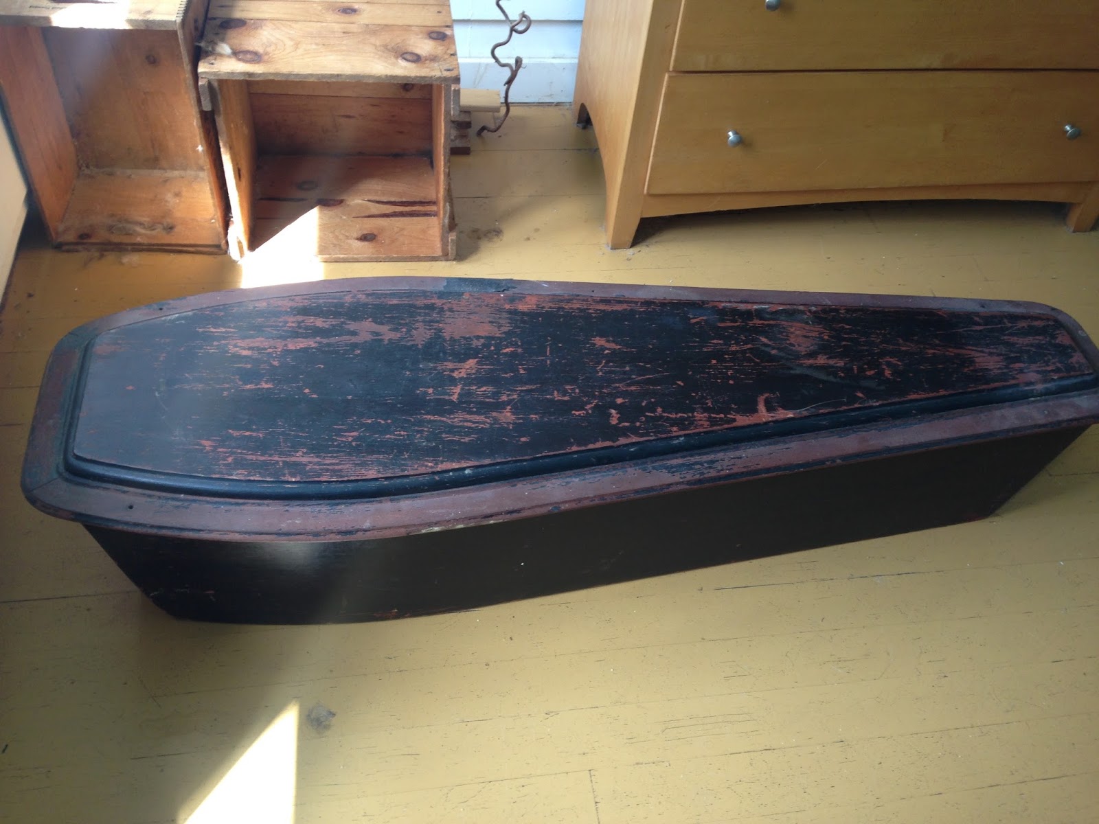 Shivers of Delight The Coffin Cat Bed