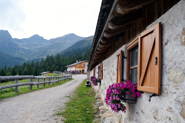 giro delle malghe val di non