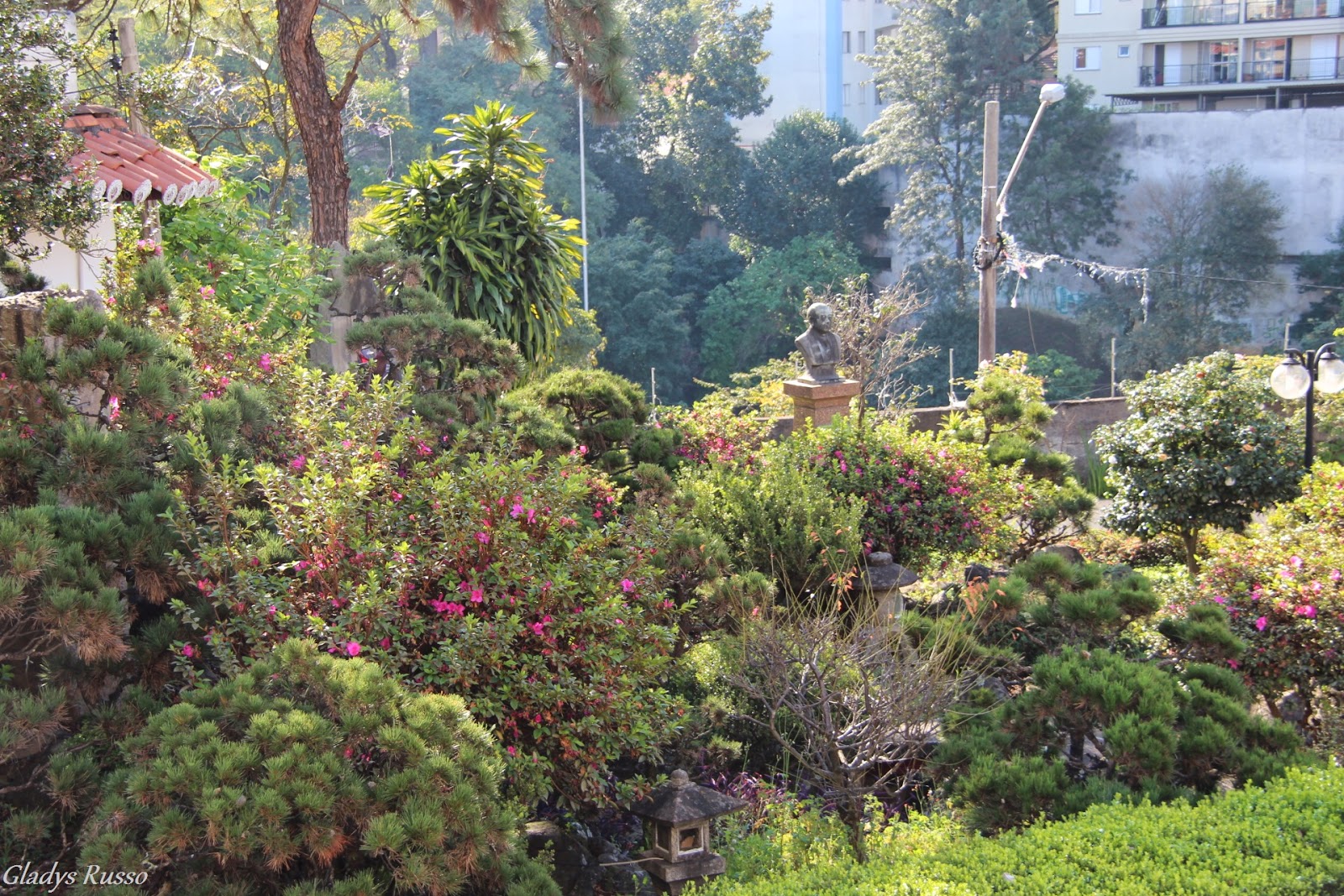 Passear e Fotografar Templo Budista Honpa