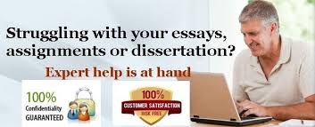 essay writers online free