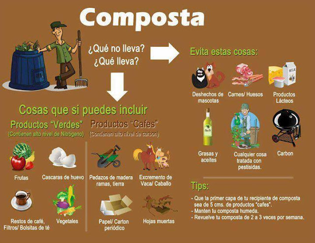 Composta Infografía