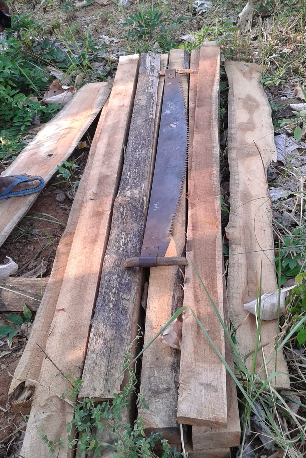 AMPARA and BATTICALOA NEWS A large scale of illegal teak timber stock was found from Thoppigala
