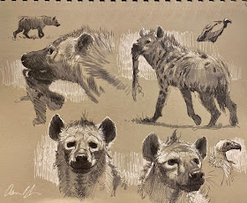 05-Hyena-Drawing-study-Aaron-Blaise-www-designstack-co