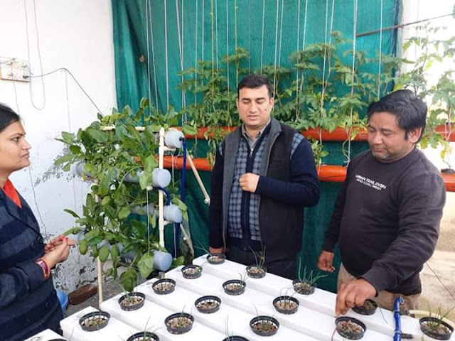 F3 Hydroponics Hydroponics Advantages