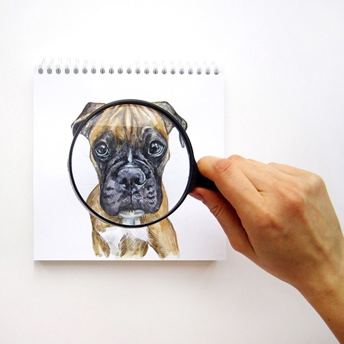 24-The-Evidence-Valerie-Susik-Валерия-Суслопарова-Cats-and-Dogs-Interactive-Animal-Drawings-www-designstack-co