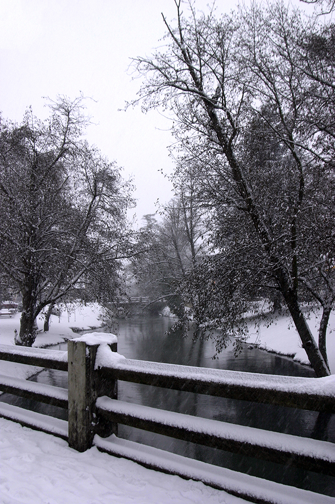 Photographing Oregon Lebanon
