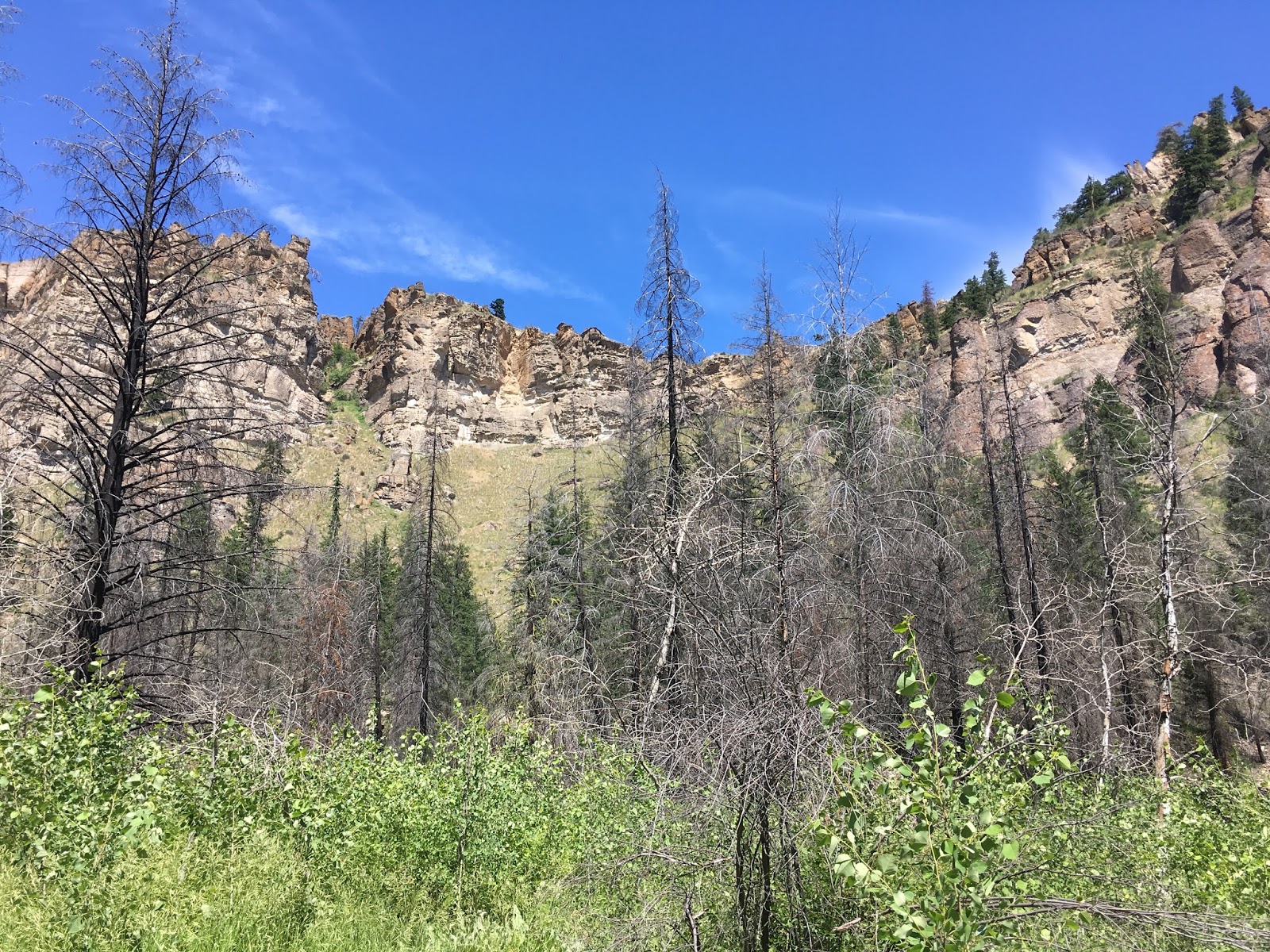 All This Is That methow valley