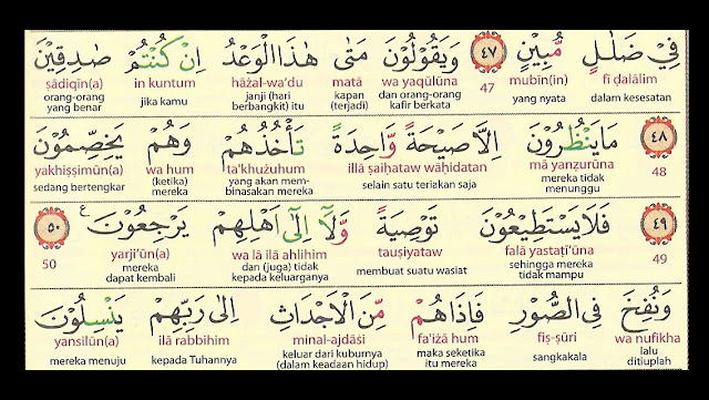 surah yasin rumi full surah yasin rumi full