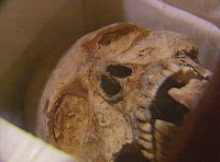 Fuente: http://www.revistacambrils.com/pagines/hemeroteca/2000/octubre2/fotos/inf%20gral/calavera.gif