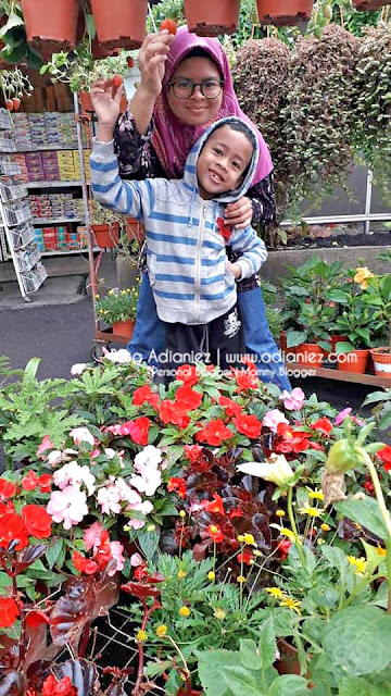 Holiday Cameron Highlands | Kea Farm Market & Kea Garden Guest House