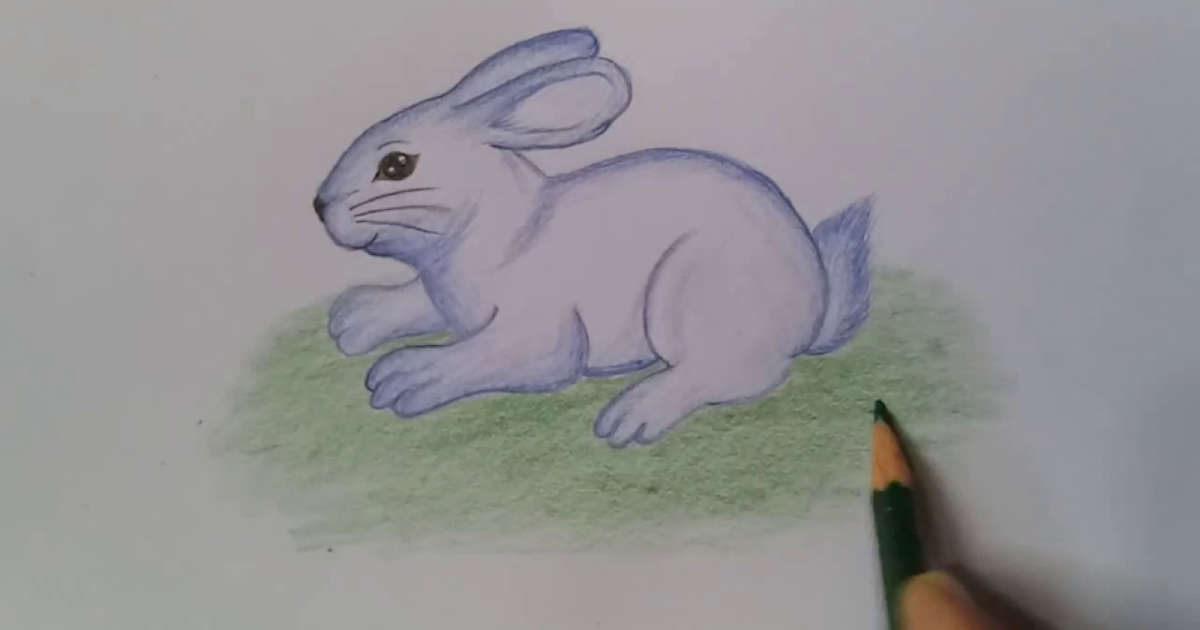 como dibujar una liebre facil paso a paso