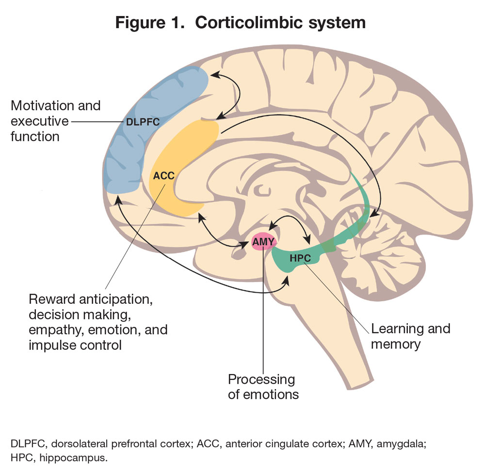 The science behind Borderline personality disorder (2/5)