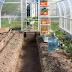 A Hobby Greenhouse Will Get You Growing