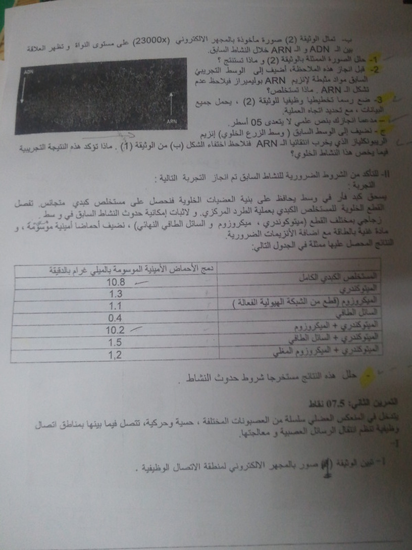بكالوريا تجريبية في مادة العلوم الطبيعية مع التصحيح شعبة العلوم التجريبية بكالوريا تجريبية في مادة العلوم الطبيعية مع التصحيح شعبة العلوم التجريبية