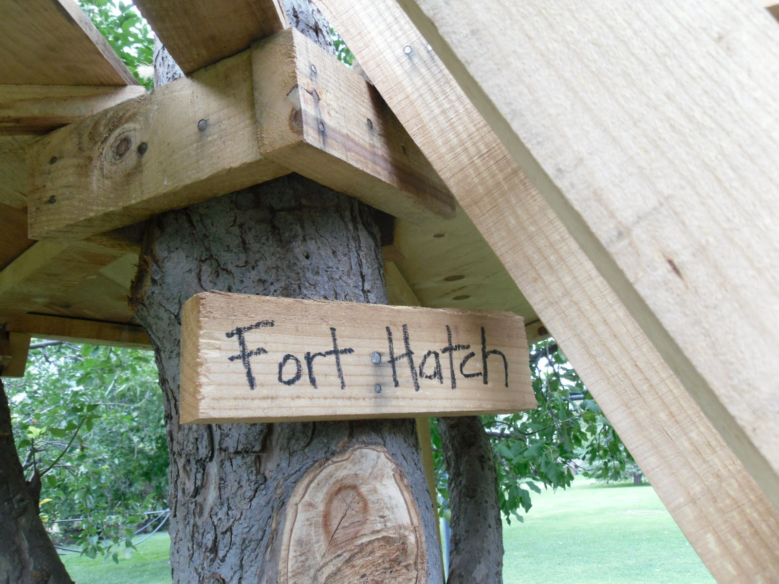 LIVE.... LAUGH.... LOVE ....: the tree fort