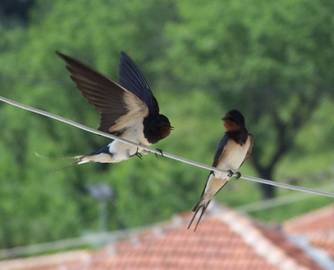 Μάρτιος: λαογραφία - παροιμίες- έθιμα - τραγούδια