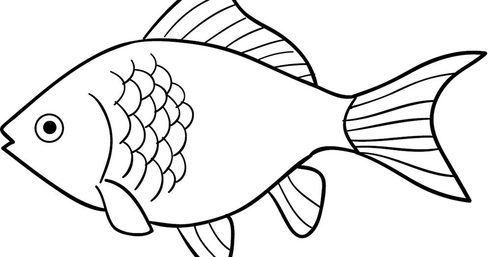 1001 Kecantikan Dan Keindahan Sketsa Gambar Ikan Hias Cupang Koi Paling Top Pensil Aisyah