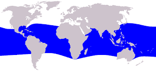 Elektra balinanın yaşam alanları haritası