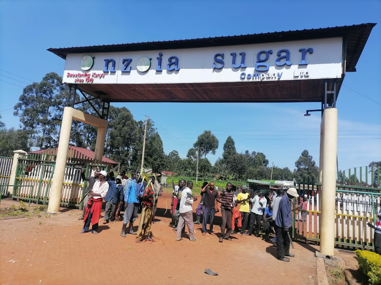 Court reinstates Nzoia Sugar Company MD Makokha - Breaking Kenya News