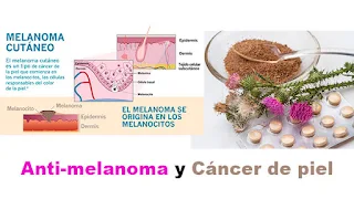 Anti-melanoma y cancer de piel