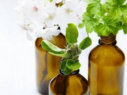 7/10 Tea Tree Oil | Best Home Remedies For Flawless Skin 