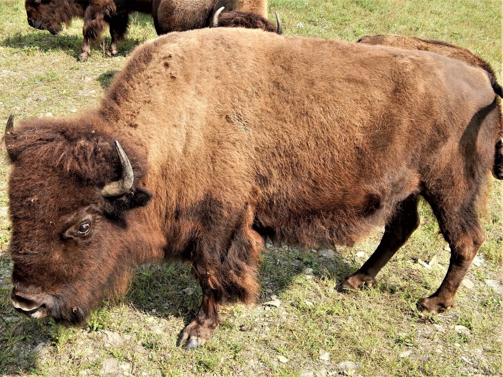 Joseph Noto Digital Art Portfolio Photography