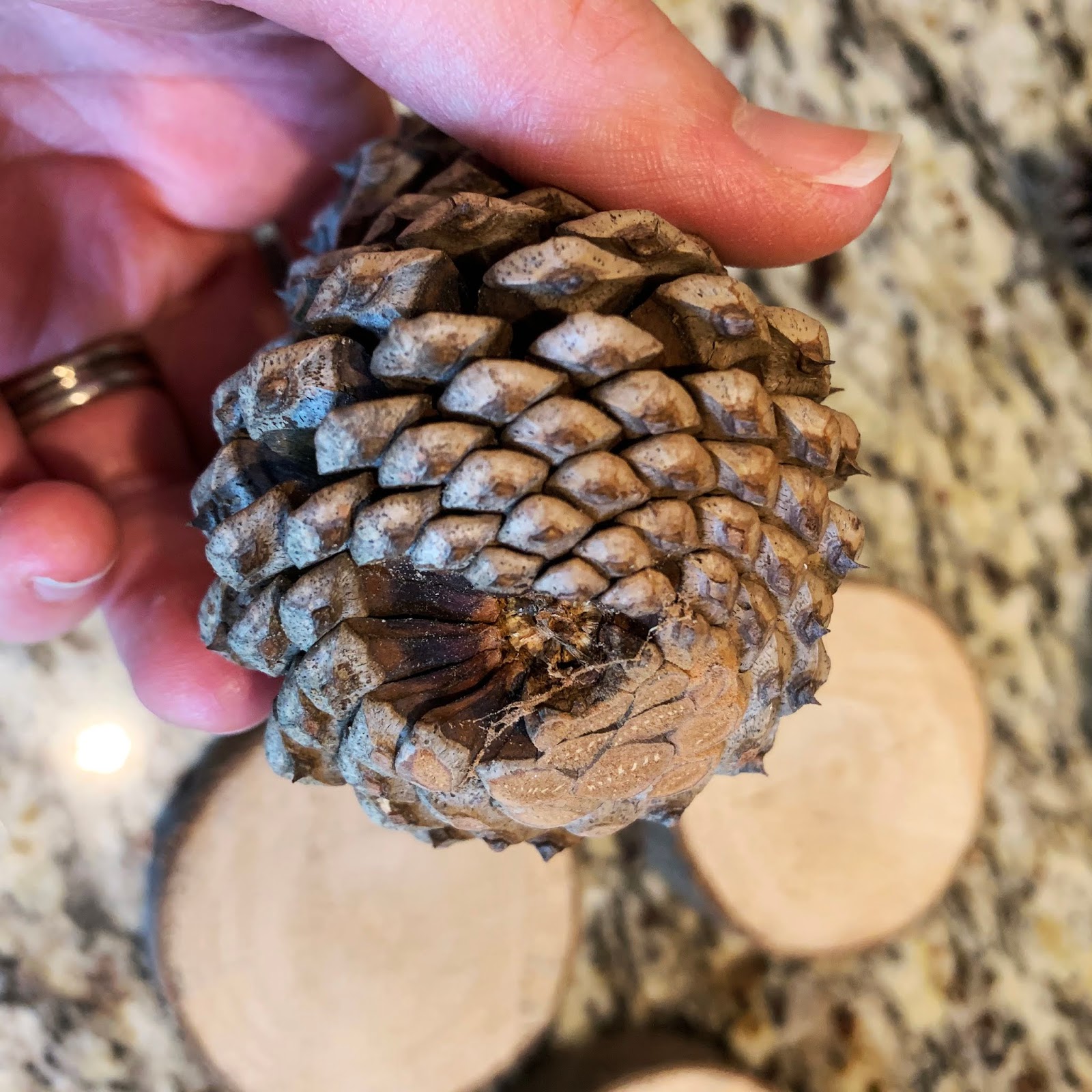 What I Live For Pine Cone Christmas Tree Decor
