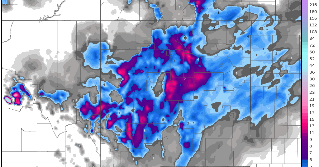 New Mexico Reported Snowfall Totals Wednesday, Feb 12, 2020.