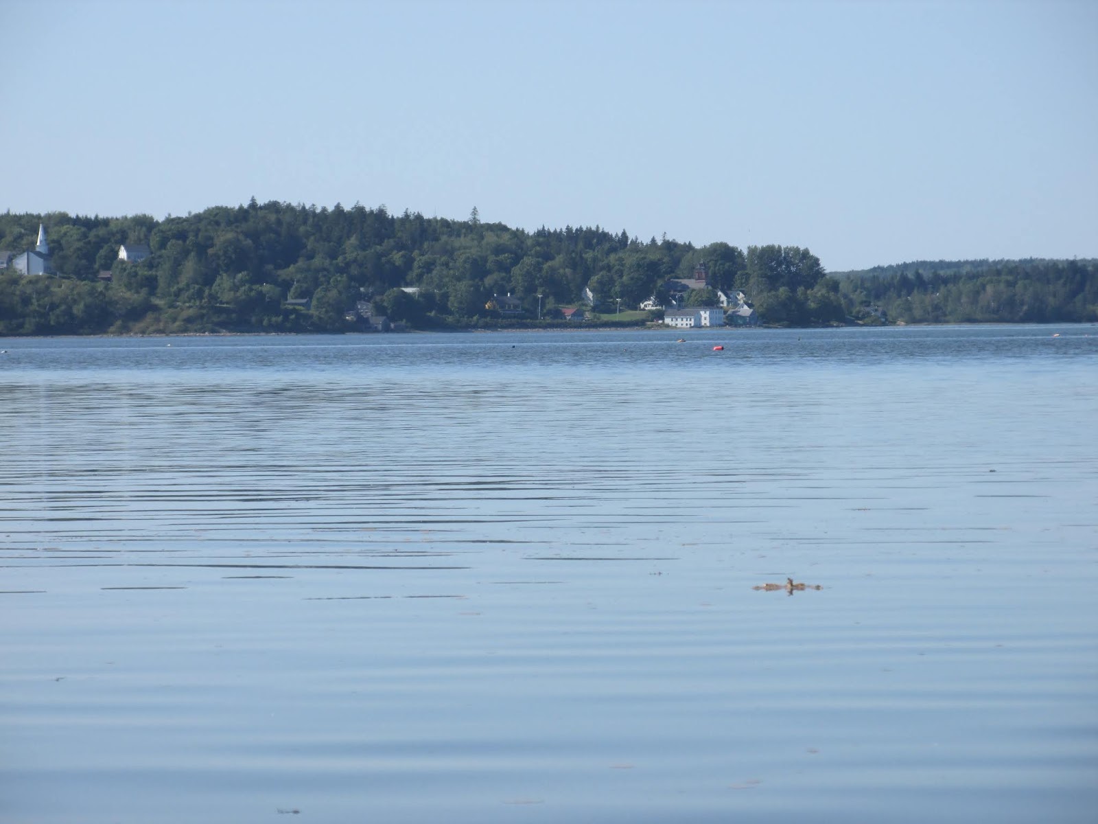 Machias Bay Rendezvous
