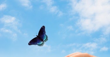 Hati Hati Jika Pacar Kasih Kebebasan Untuk 3 Hal Ini Madjongke