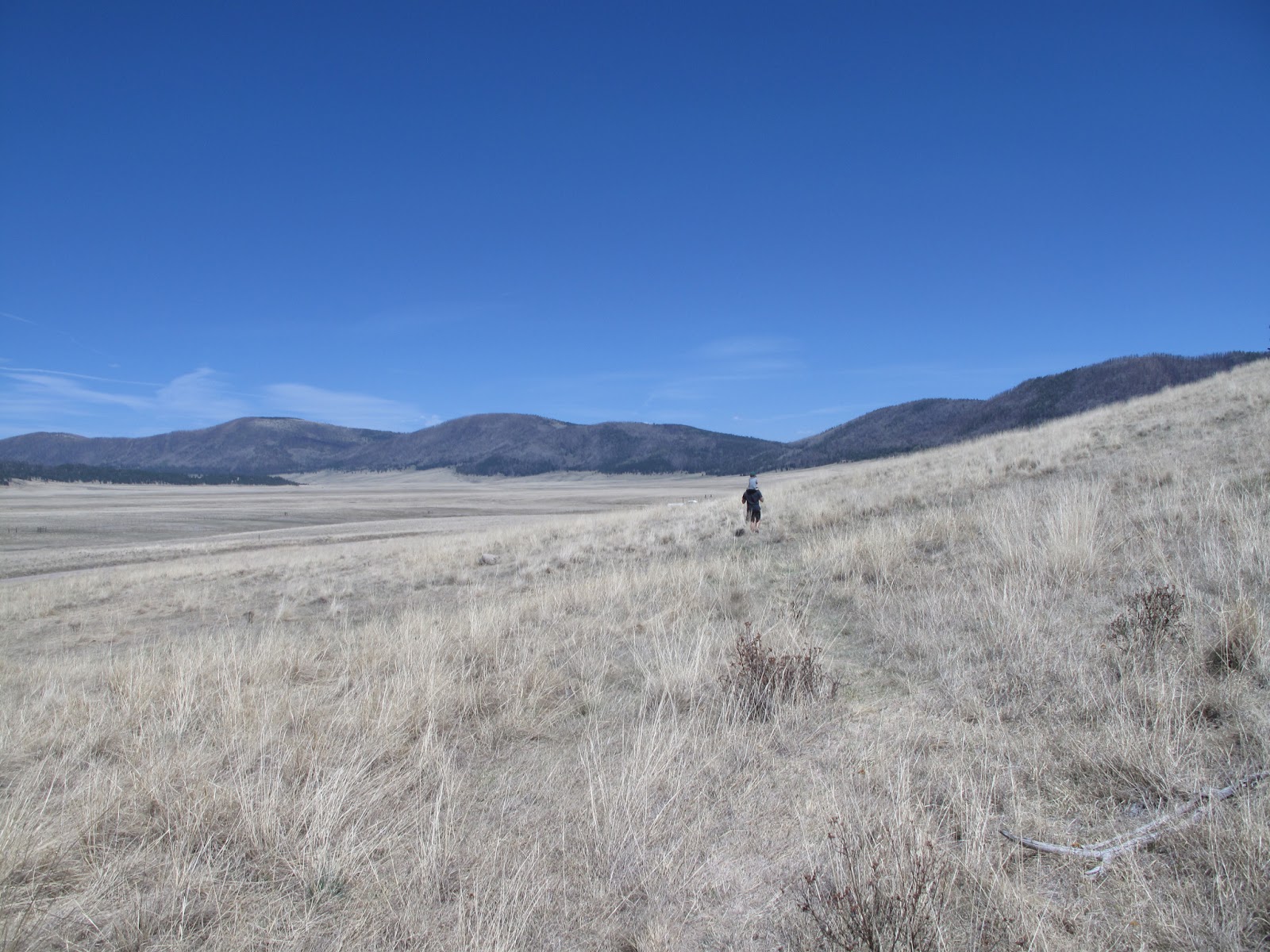 TMonkey Camping near Valles Caldera