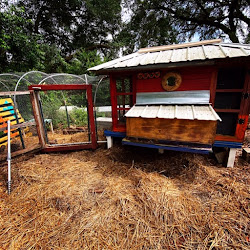 chicken coop garden materials permaculture songer kevin salvaged constructed survival recycled