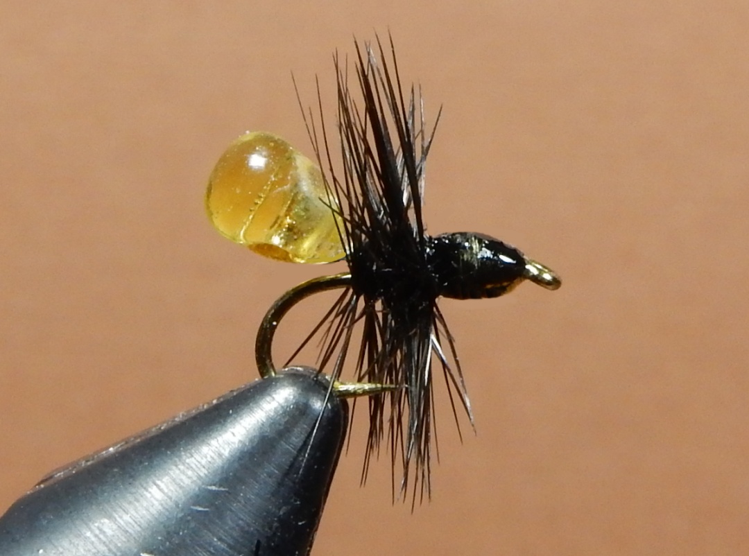 Flytying: New and Old: Honey Ant
