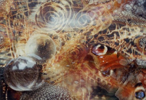 The Thing Next Door 2019