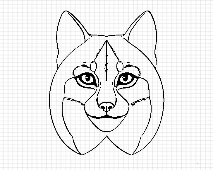 Lynx forehead fur drawing