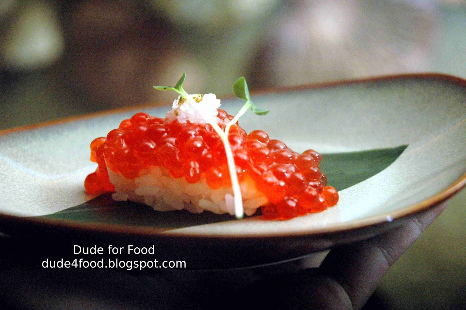 DUDE FOR FOOD: The Art of Sushi and Modern Japanese Cuisine at Sen-ryo ...