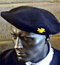 Post+LaPoste+beret.gif