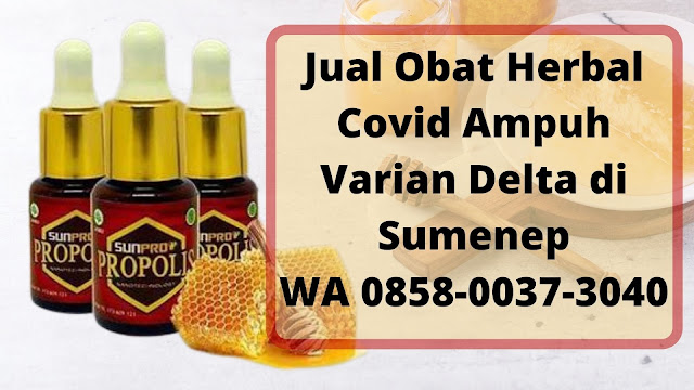 Jual Obat Herbal Covid Ampuh Varian Delta di Sumenep WA 0858-0037-3040