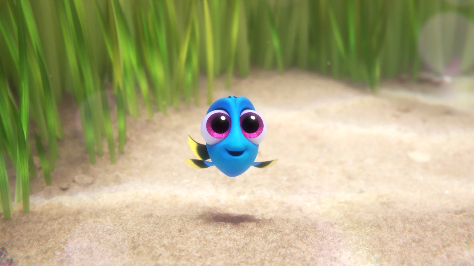 instaling Finding Dory instaling Finding Dory