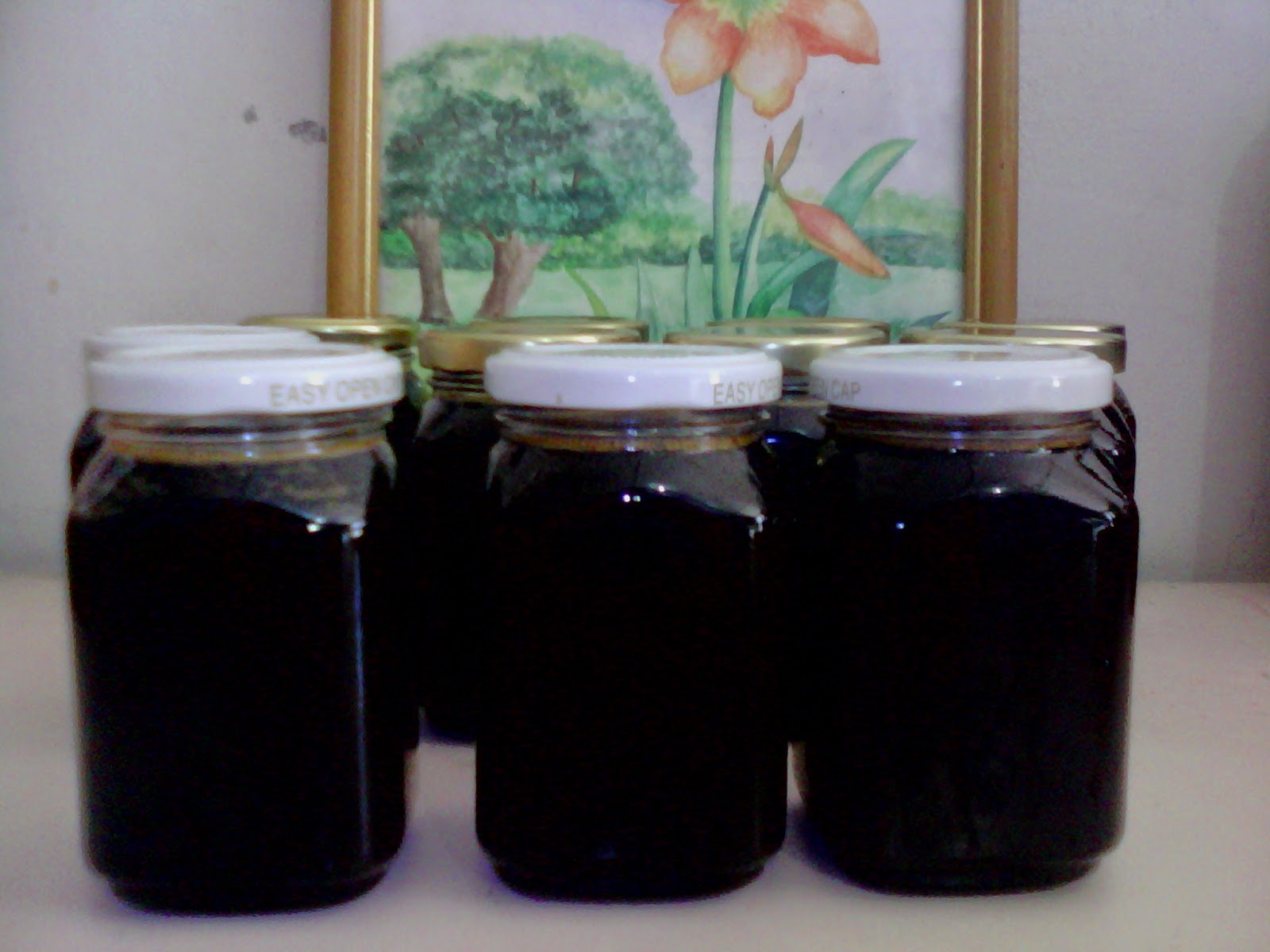 ORGANIC MEDICINE WHAT IS NIPA PALM TREE AND BENEFITS?