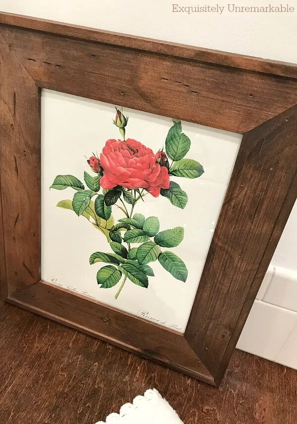 Vintage Style Botanical Rose Print