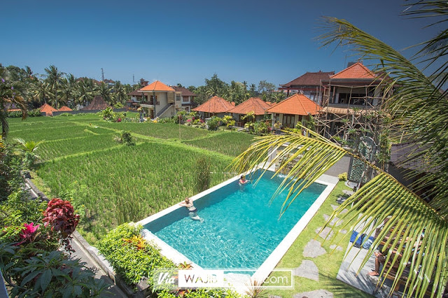 5 Hotel Backpacker di Ubud Cuma 100 Ribuan, Yakin Tak Ingin Booking?